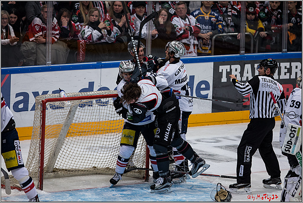 Koelner Haie - Eisbaeren Berlin, 13.11.2016